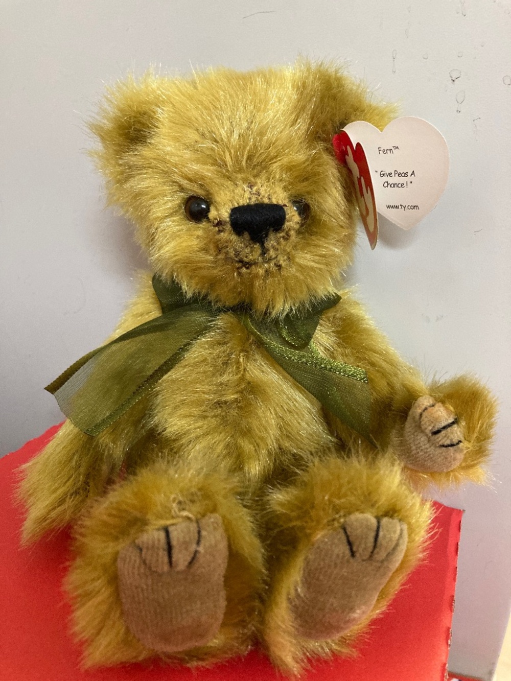 Ty Bear Fern